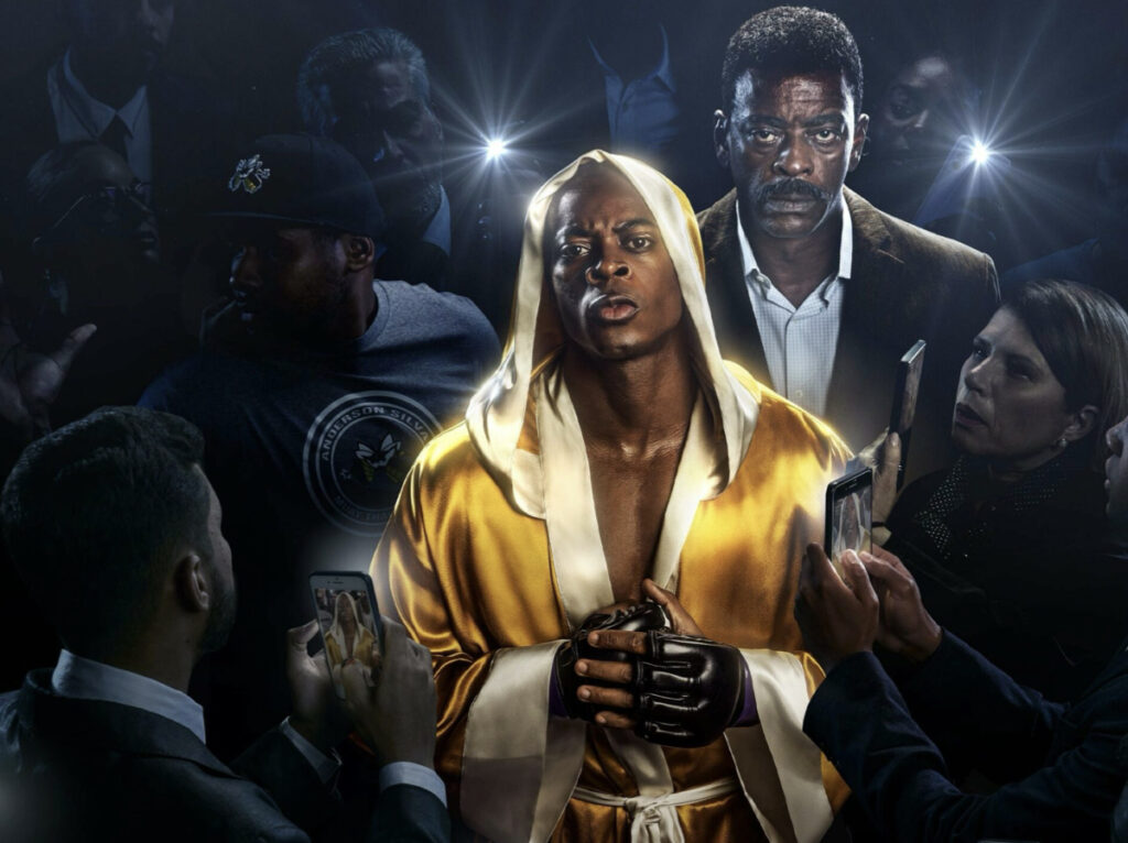 Project: Anderson "Spider" Silva | ERAZERO