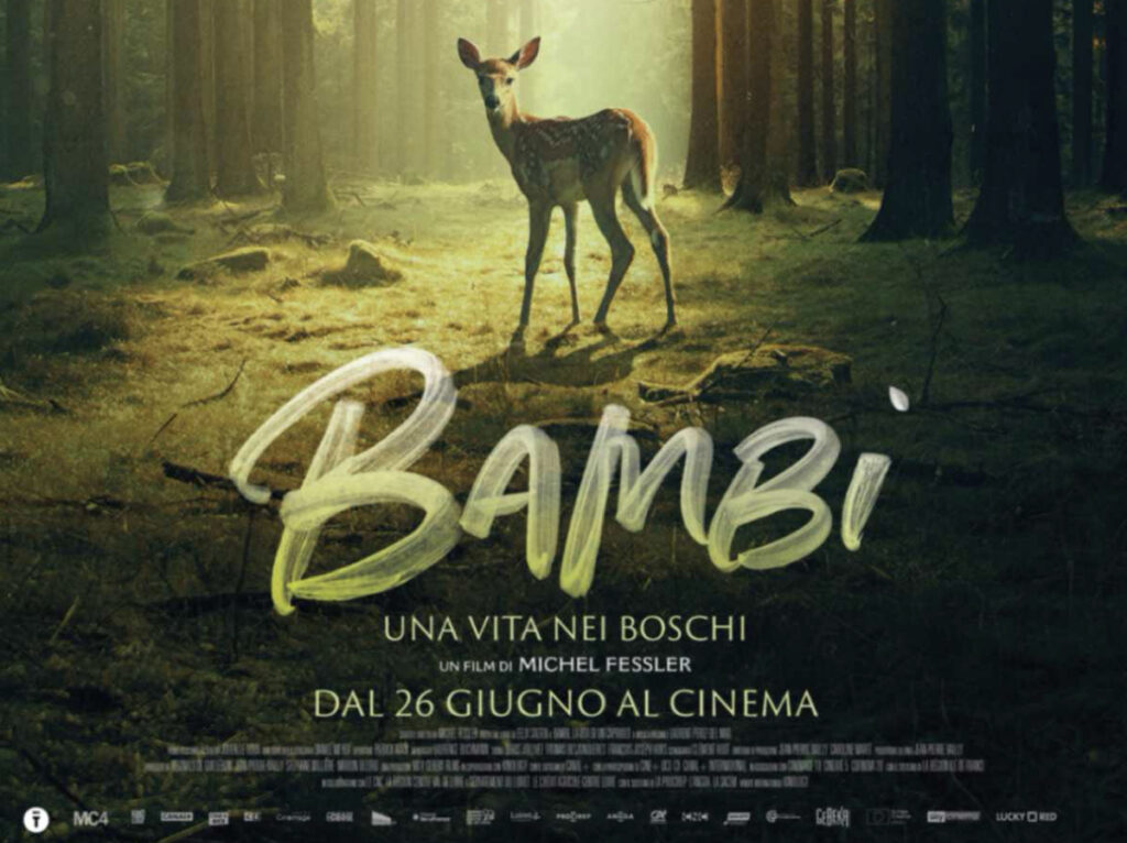 Project: Bambi - Una Vita nei Boschi | ERAZERO